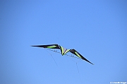 EUROCUP STACK 2011 CERVIA00108